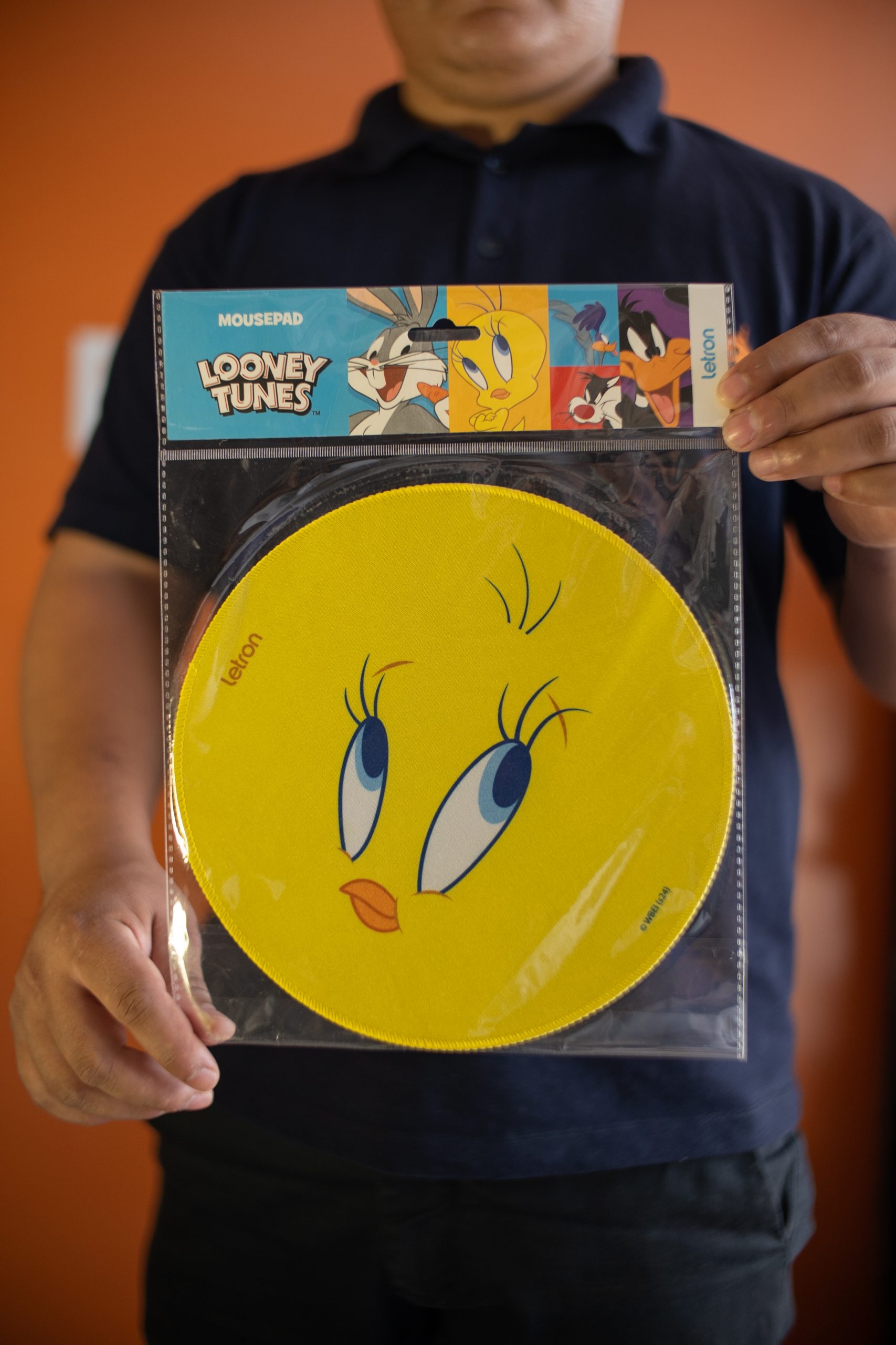 sem título-100 (1)